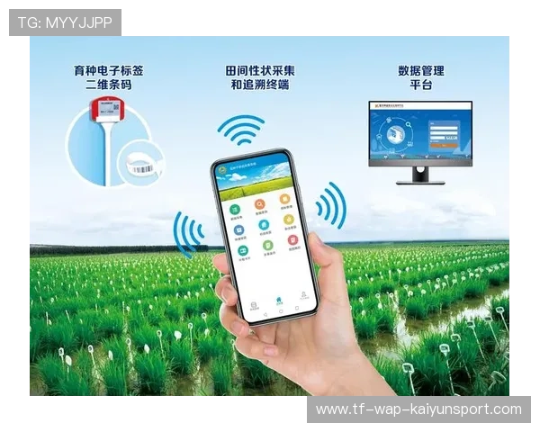 如何通过数字化手段构建跨地域的球迷阵线